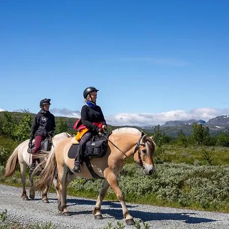 Cozy Two Bedrooms With Sauna And Mountain Views Διαμέρισμα Beitostolen
