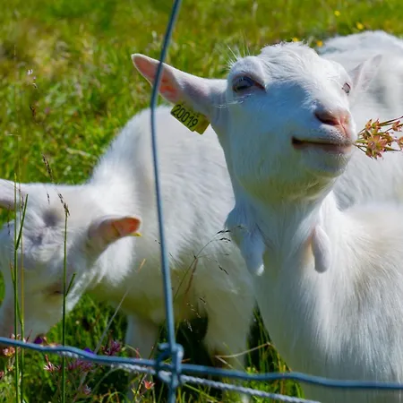 Cozy Two Bedrooms With Sauna And Mountain Views Διαμέρισμα Beitostolen